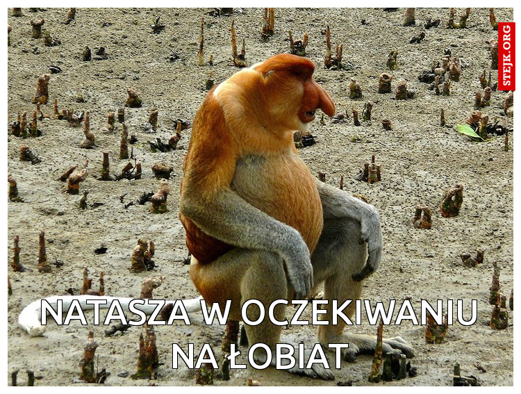Natasza w oczekiwaniu na łobiat