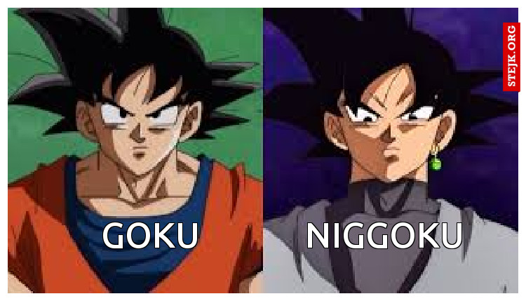        Goku             Niggoku
