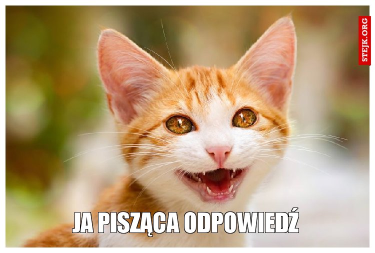 Ja pisząca odpowiedź