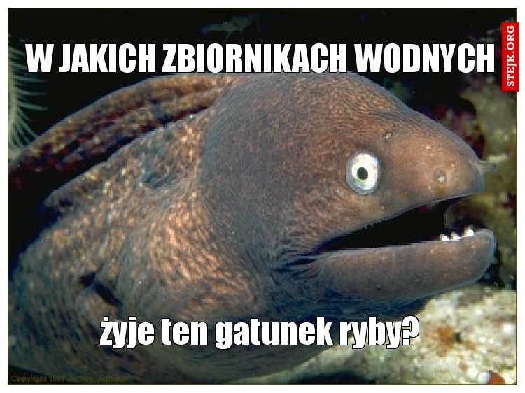 W jakich zbiornikach wodnych