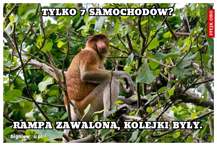 Tylko 7 samochodów?