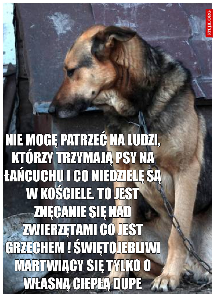 Nie mogę patrzeć na ludzi, którzy trzymają psy na łańcuchu i co niedzielę są w kościele. To jest znęcanie się nad zwierzętami co jest GRZECHEM ! Świętojebliwi martwiący się tylko o własną ciepłą DUPE