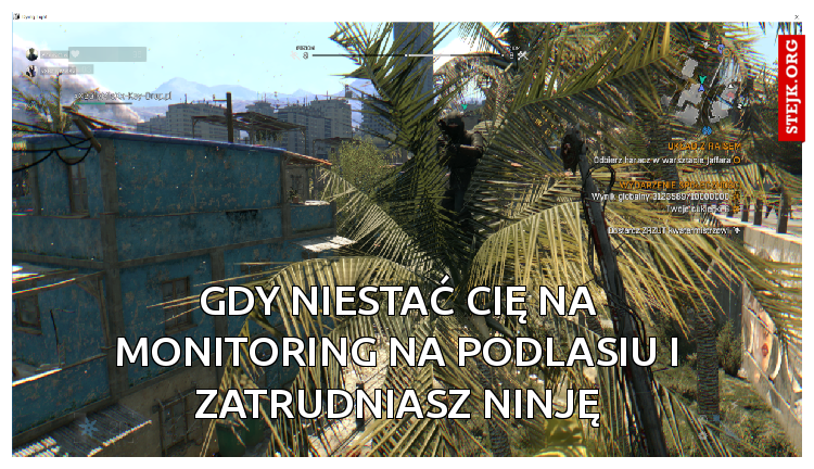 Gdy niestać cię na monitoring na podlasiu i zatrudniasz Ninję
