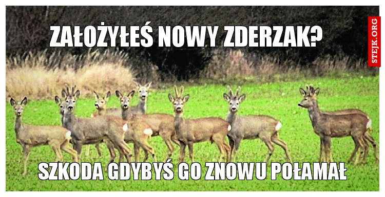Założyłeś nowy zderzak?