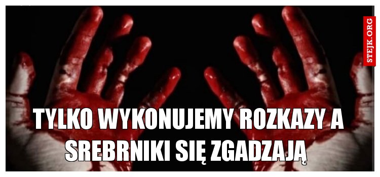 Tylko wykonujemy rozkazy a srebrniki się zgadzają 