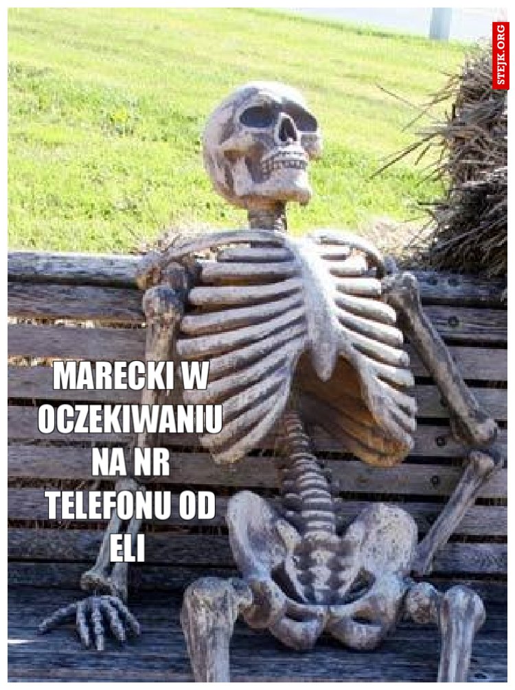 Marecki w oczekiwaniu na nr telefonu od Eli 