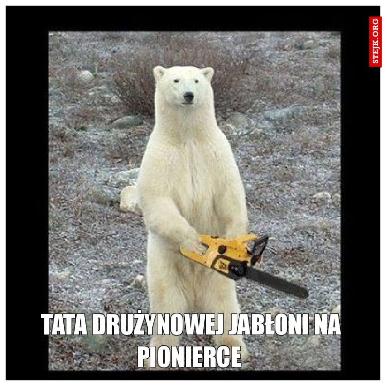 tata drużynowej Jabłoni na pionierce 