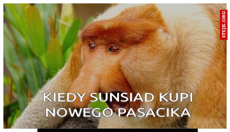 Kiedy sunsiad kupi nowego pasacika