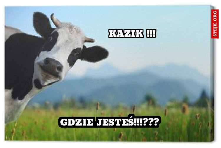 Ksiądz Leszek