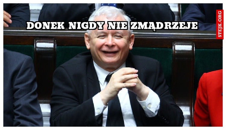 donek nigdy nie zmądrzeje