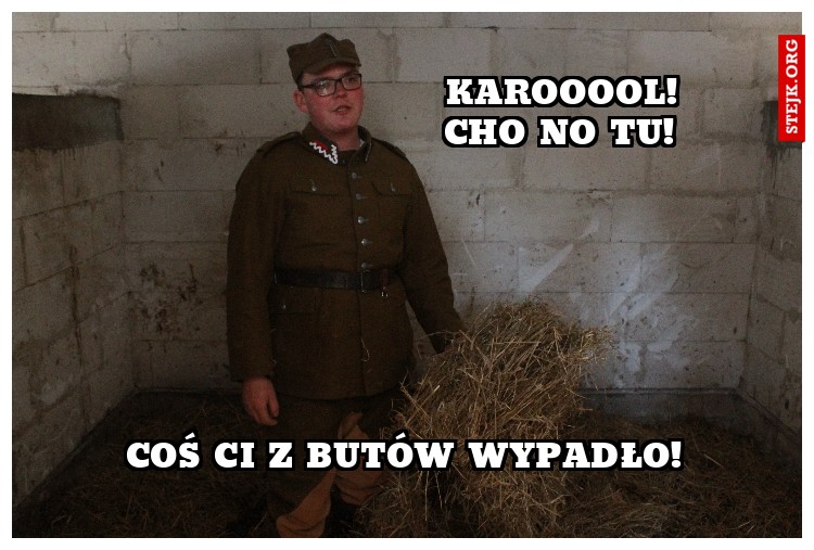                         karooool!