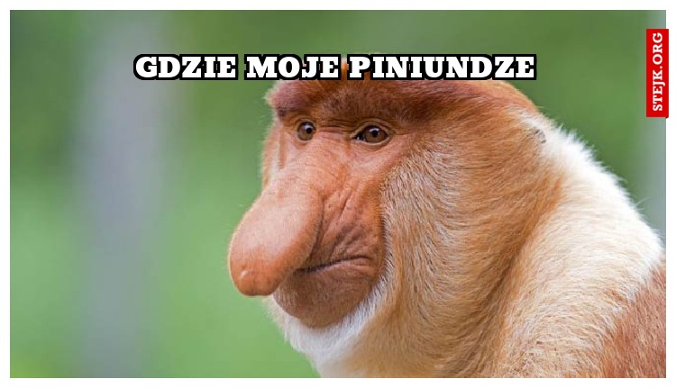 gdzie moje piniundze