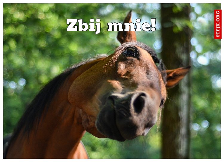 Jestem sobie brzydki kleszcz, lubię Bubę w nocy jeść