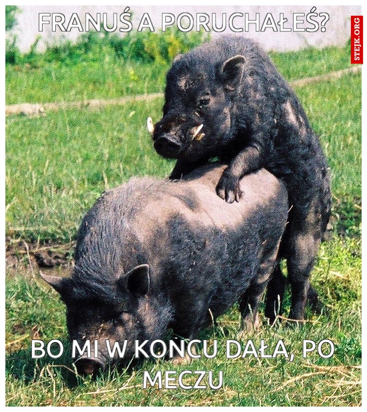Franuś a poruchałeś?