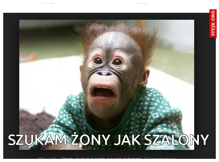 SZUKAM ŻONY JAK SZALONY