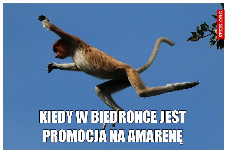 Kiedy w biedronce jest promocja na amarenę