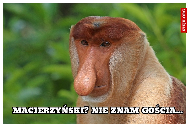 Macierzyński?