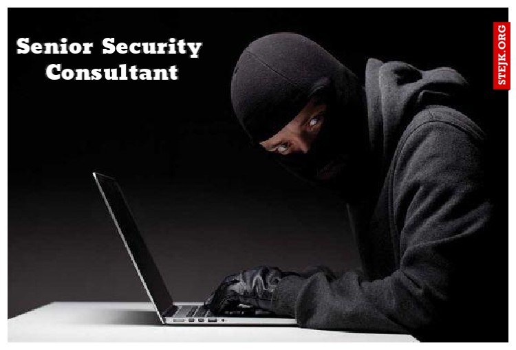 Senior Security Consultant