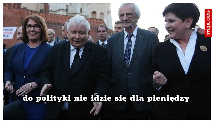 do polityki nie idzie się dla pieniędzy