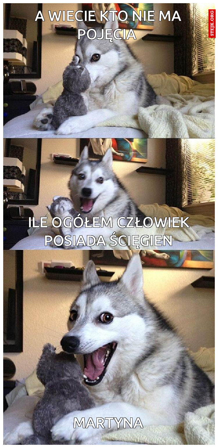 A wiecie kto nie ma pojęcia 