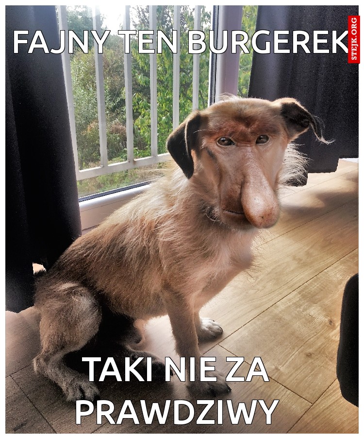 FAjny ten burgerek