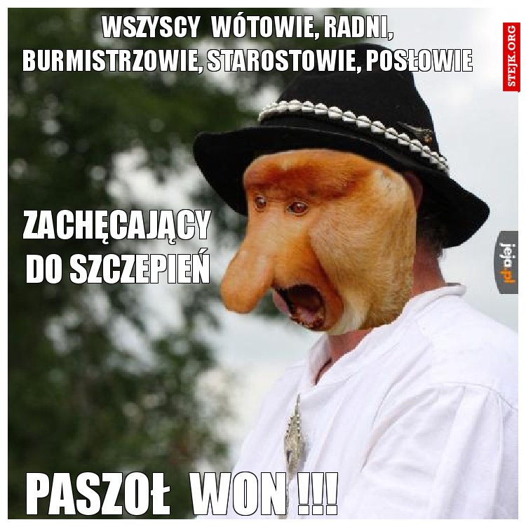 wszyscy  wótowie, radni, burmistrzowie, starostowie, posłowie