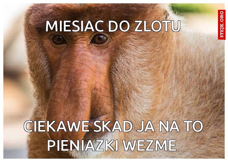 miesiac do zlotu