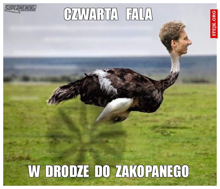 czwarta   fala