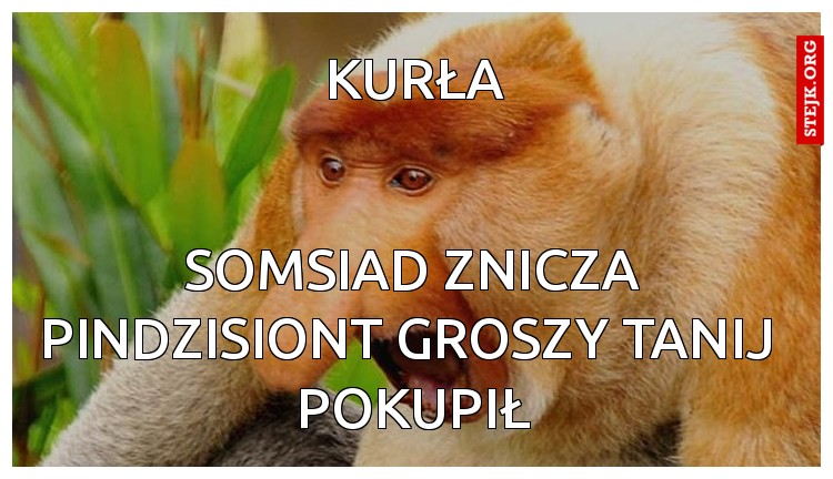 Kurła