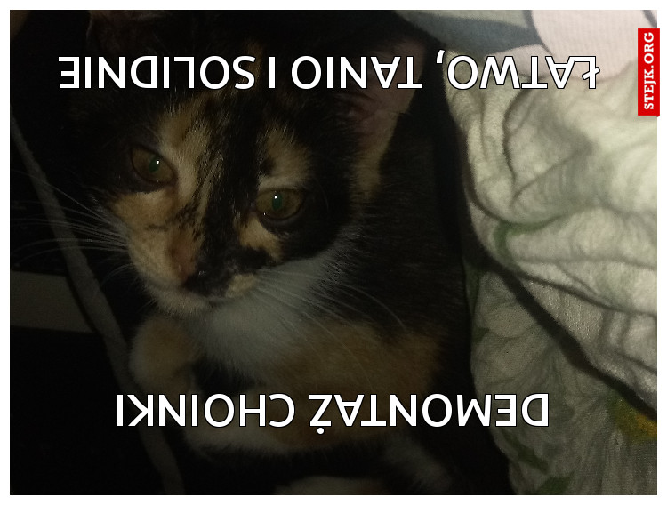 Demontaż choinki 