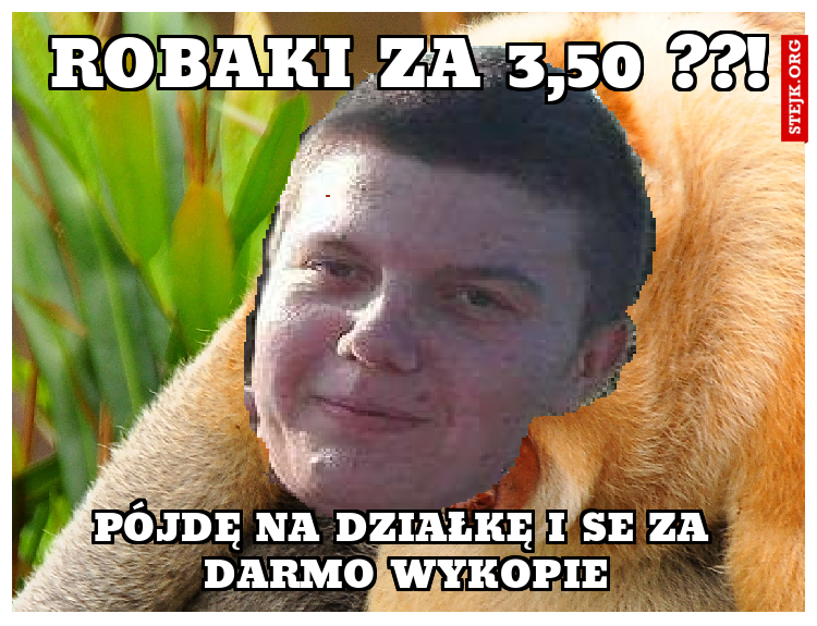 robaki za 3,50 ??!