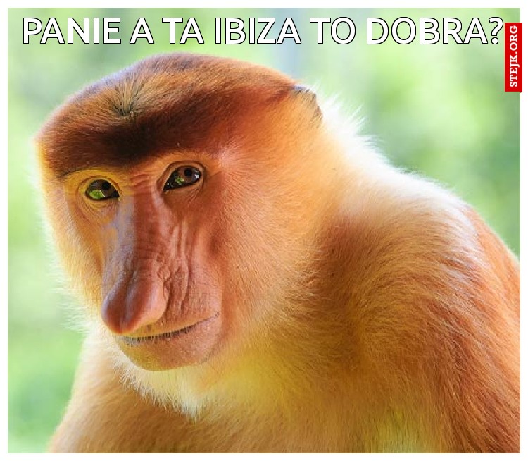Panie a Ta ibiza to dobra?