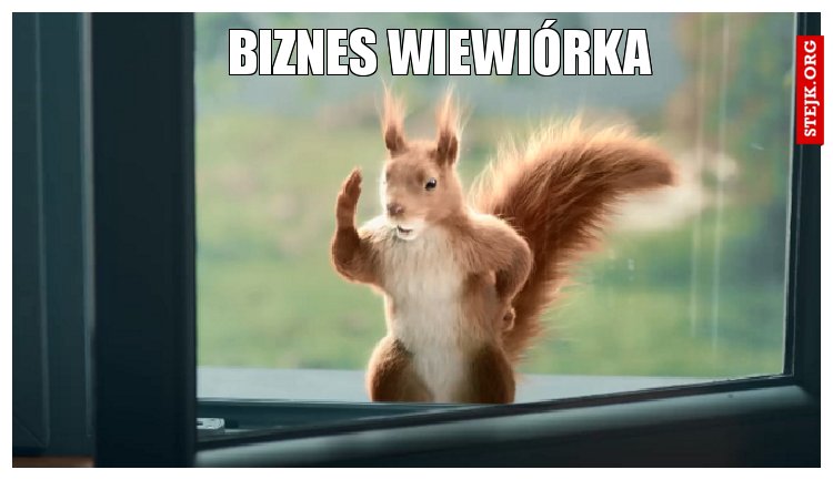 Biznes wiewiórka