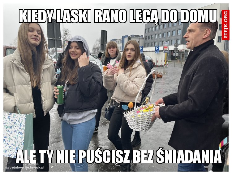 Kiedy laski rano lecą do domu