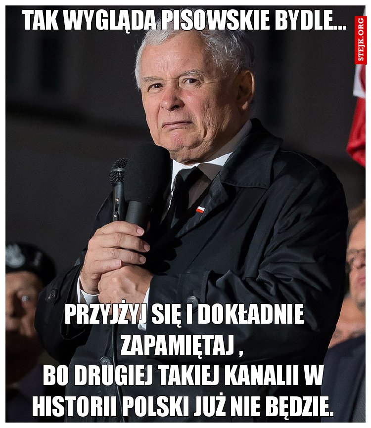 Tak wygląda pisowskie bydle...
