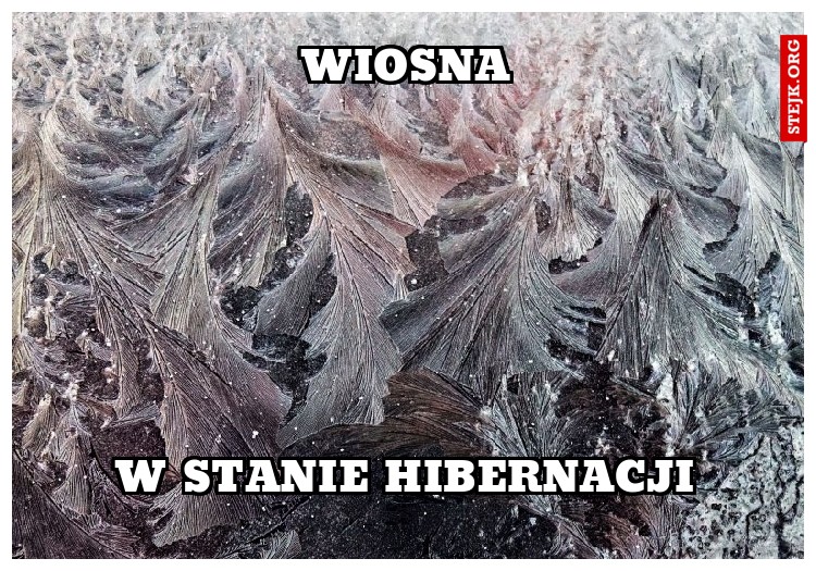 Wiosna