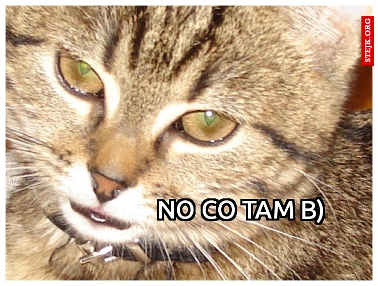 no co tam b)