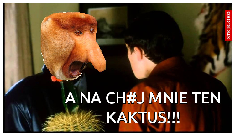 A NA CH#J MNIE TEN KAKTUS!!!