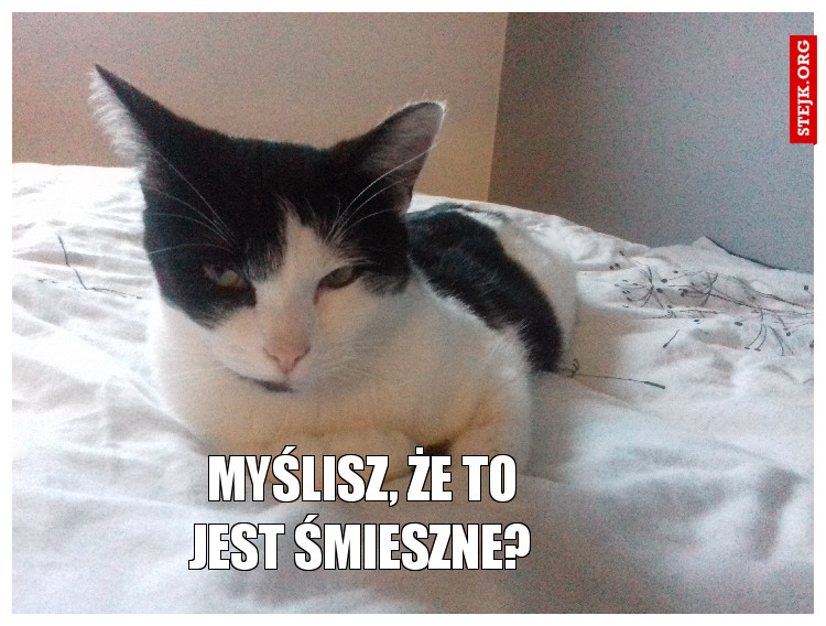 Myślisz, że to jest śmieszne?