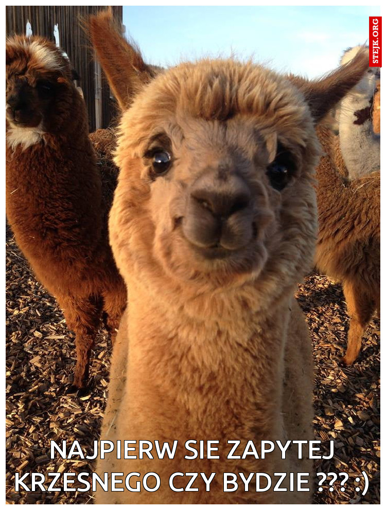 najpierw sie zapytej krzesnego czy bydzie ??? :)