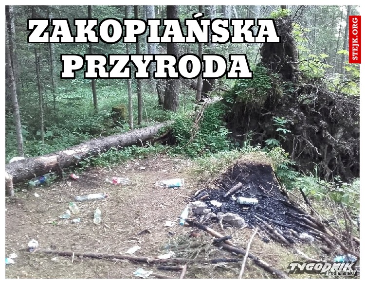zakopiańska przyroda