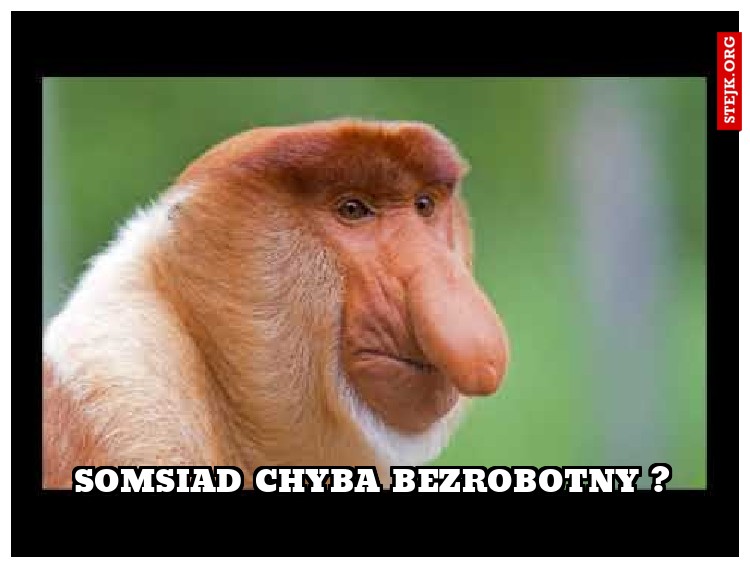 somsiad chyba bezrobotny ?