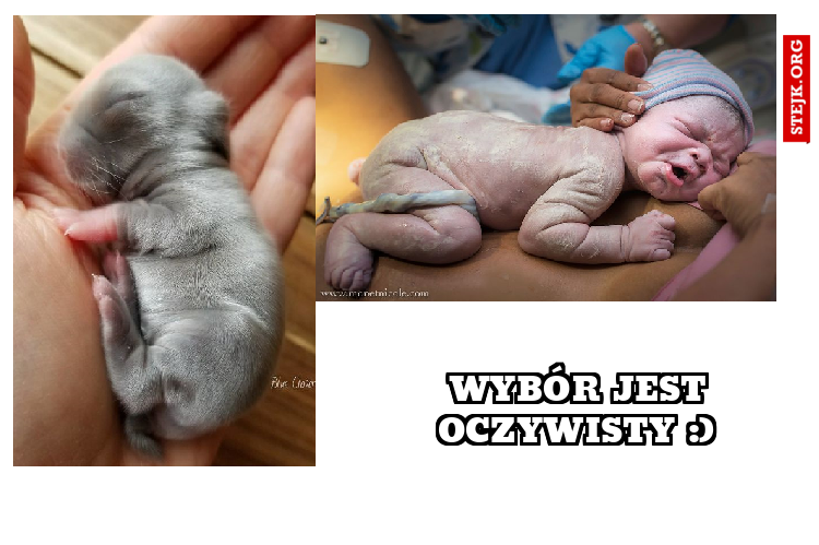 wybór jest oczywisty :) 