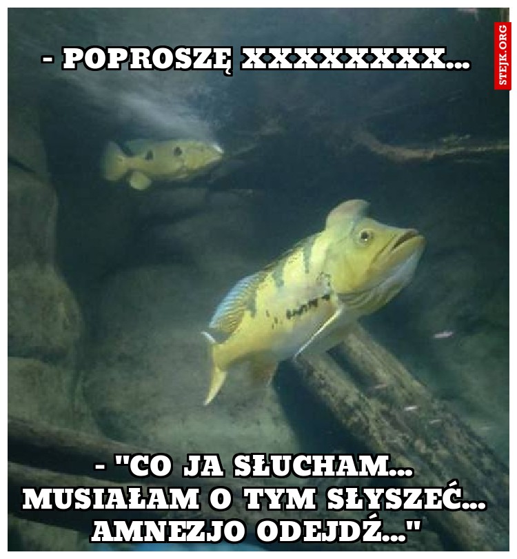 - poproszę xxxxxxxx...