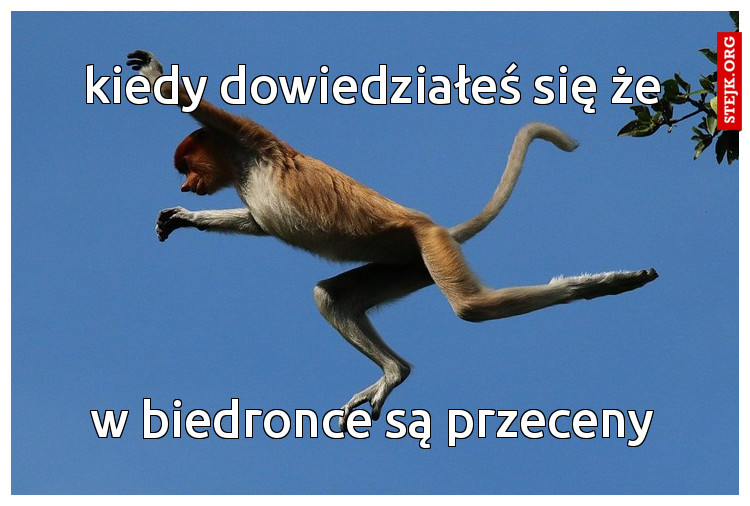 biedronkowe przeceny