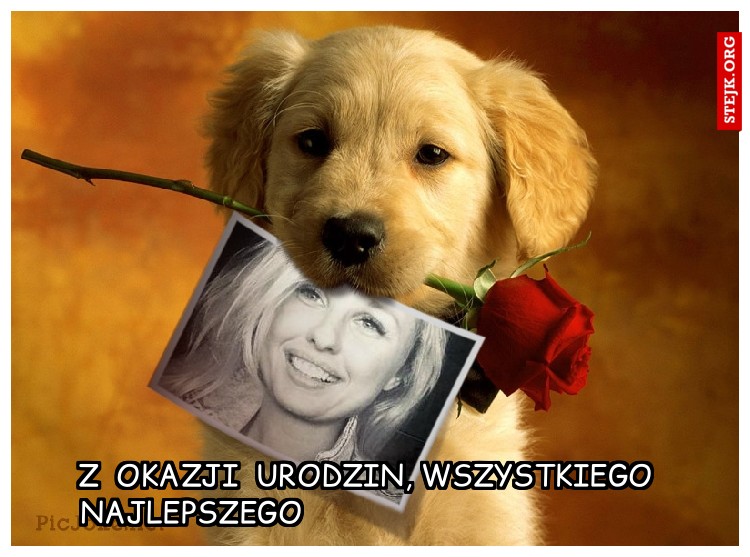 Z  okazji  urodzin, wszystkiego najlepszego                                       