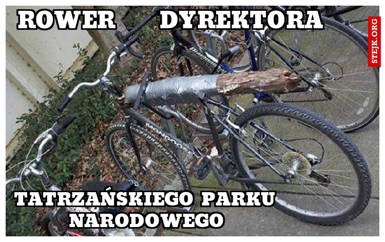 rower     dyrektora 