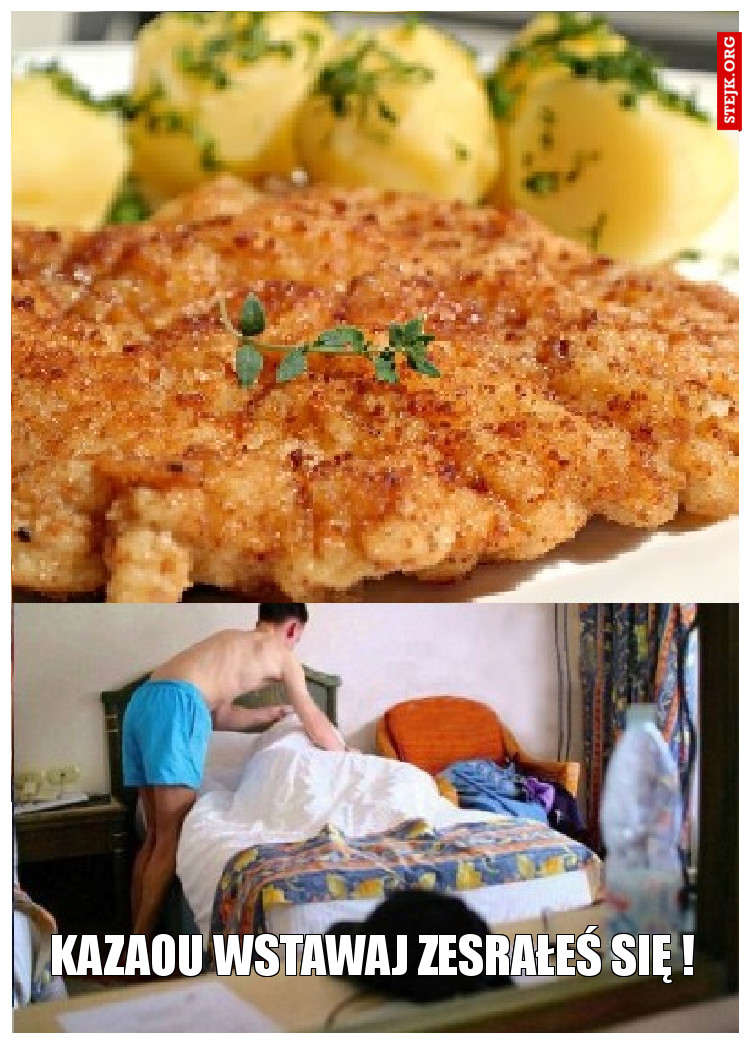Kazaou wstawaj zesrałeś się !