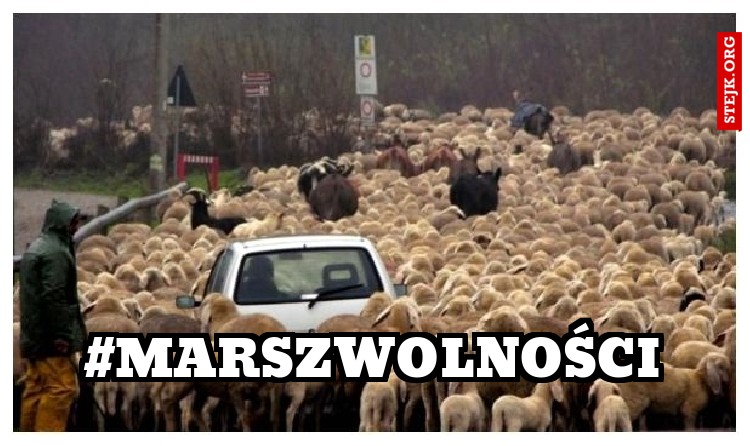 #MarszWolności