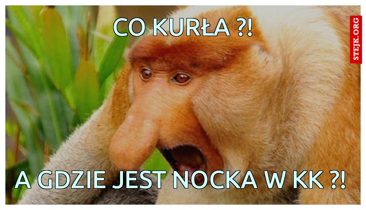 co Kurła ?!